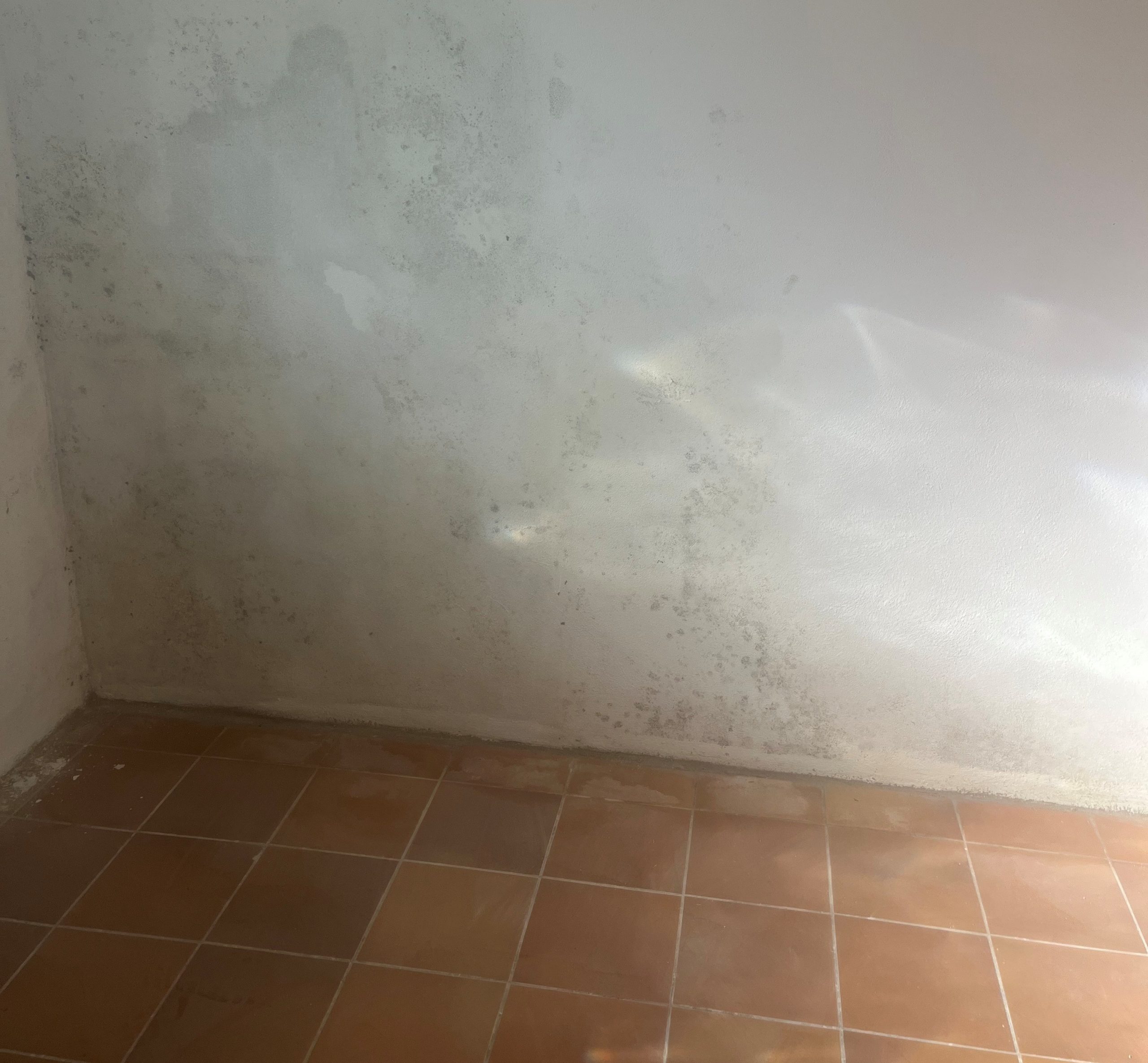 Feuchte Kellerwand durch drückendes Wasser im Mauerwerk