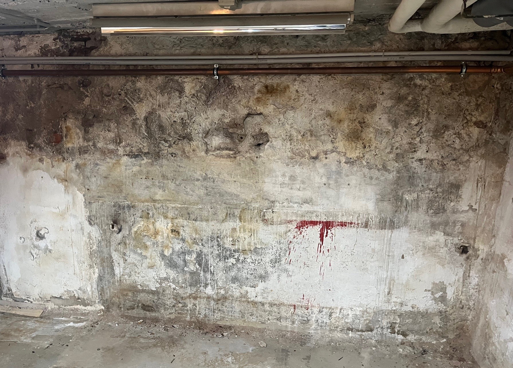Feuchte Kellerwand Ursachen und Ausblühungen im Mauerwerk