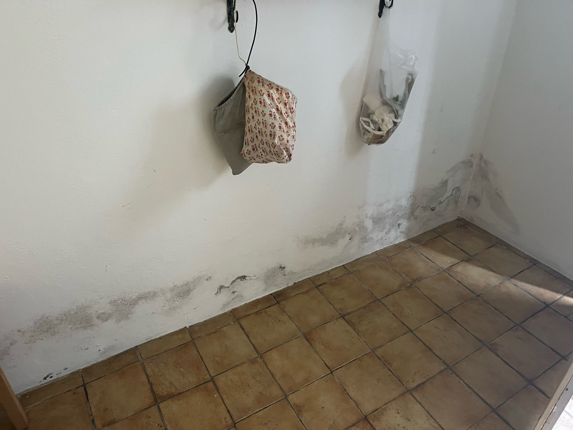 Feuchtigkeitsränder im Sockelbereich einer Kellerwand durch aufsteigende Feuchtigkeit